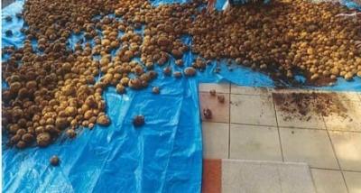 高齢者向け住宅