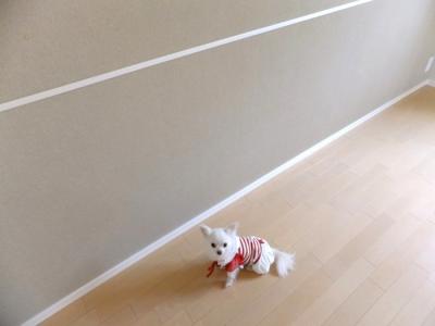 高齢者向け住宅